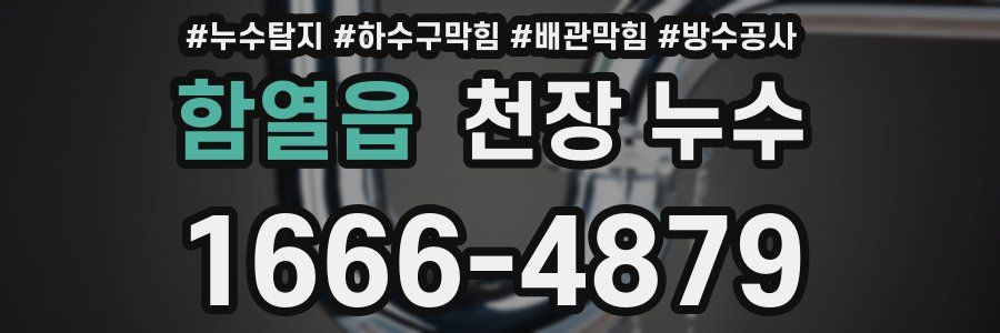함열읍 천장 누수