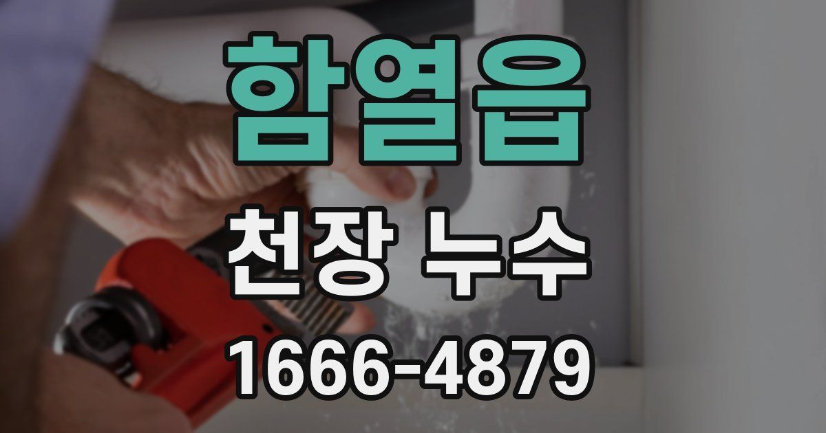 함열읍 천장 누수
