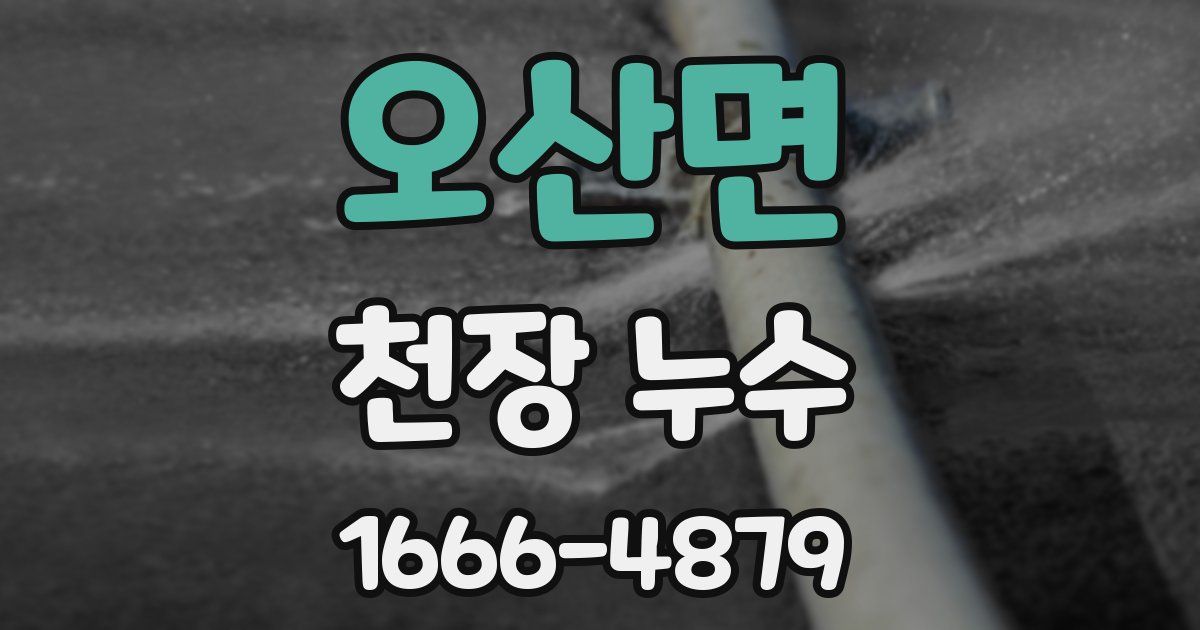 오산면 천장 누수