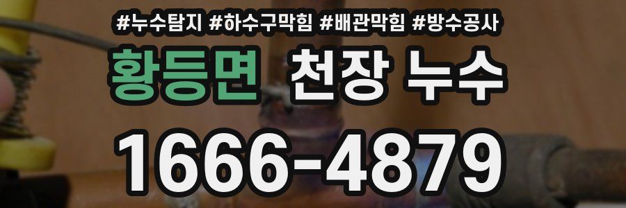 황등면 천장 누수