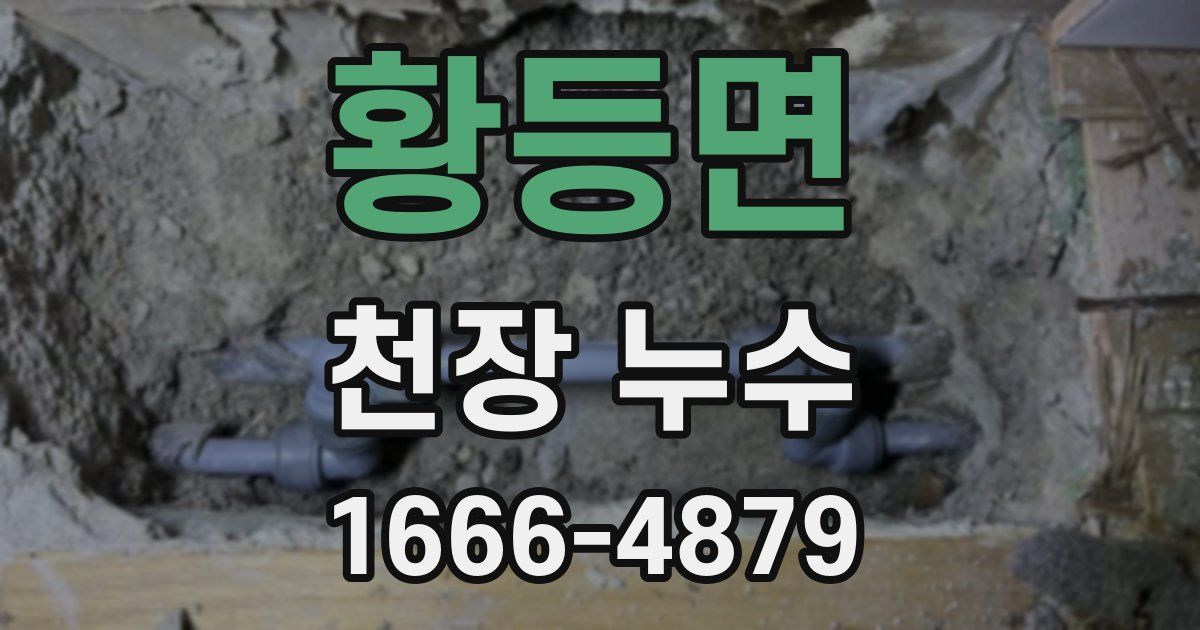 황등면 천장 누수