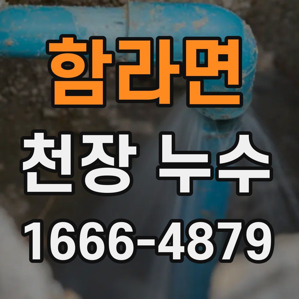 함라면 천장 누수