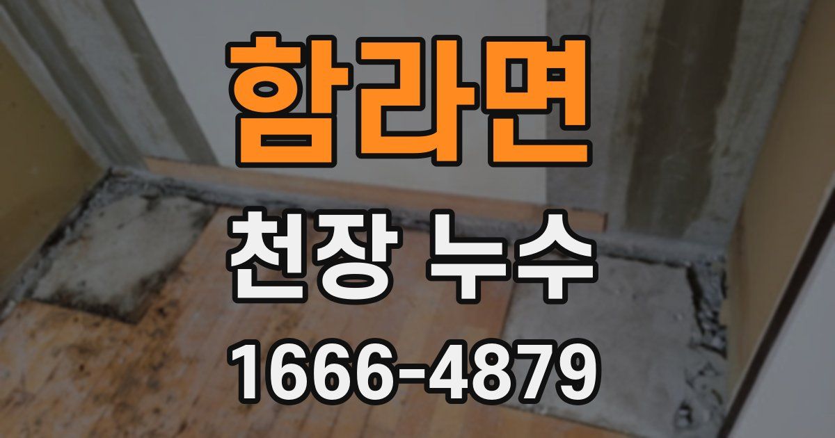 함라면 천장 누수
