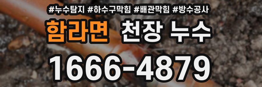 함라면 천장 누수