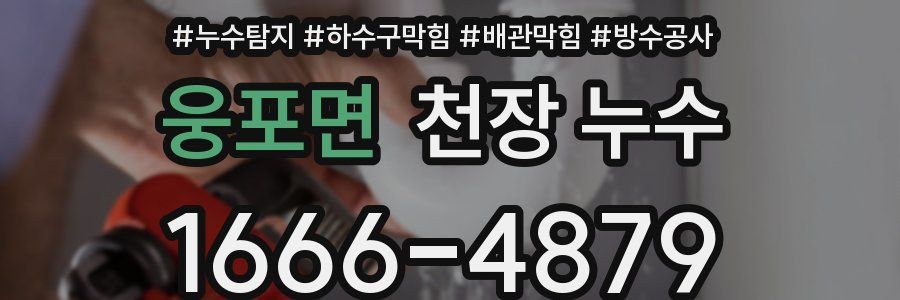 웅포면 천장 누수