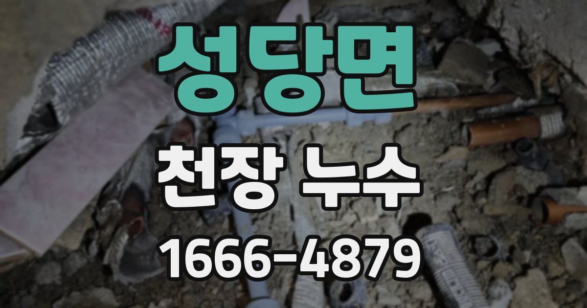 성당면 천장 누수