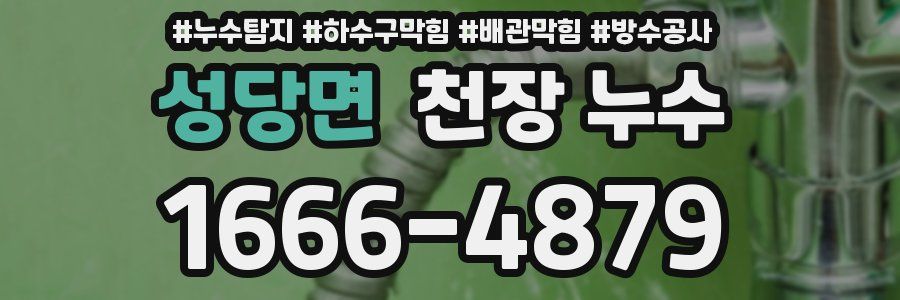 성당면 천장 누수