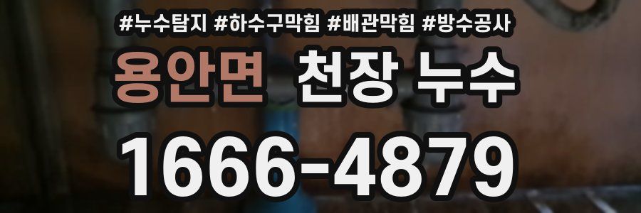 용안면 천장 누수