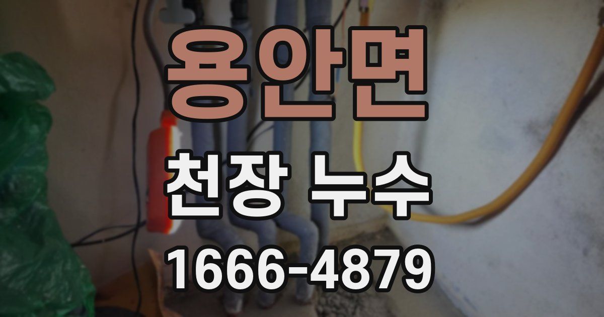 용안면 천장 누수