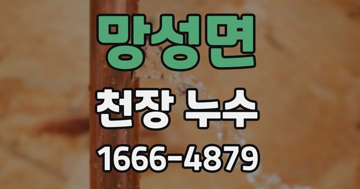 망성면 천장 누수
