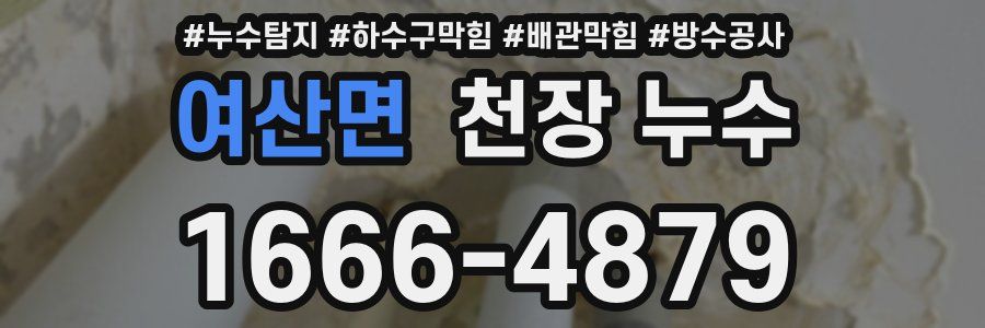 여산면 천장 누수