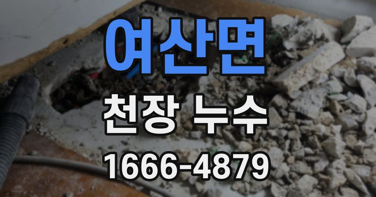여산면 천장 누수
