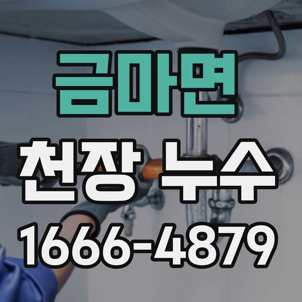 금마면 천장 누수