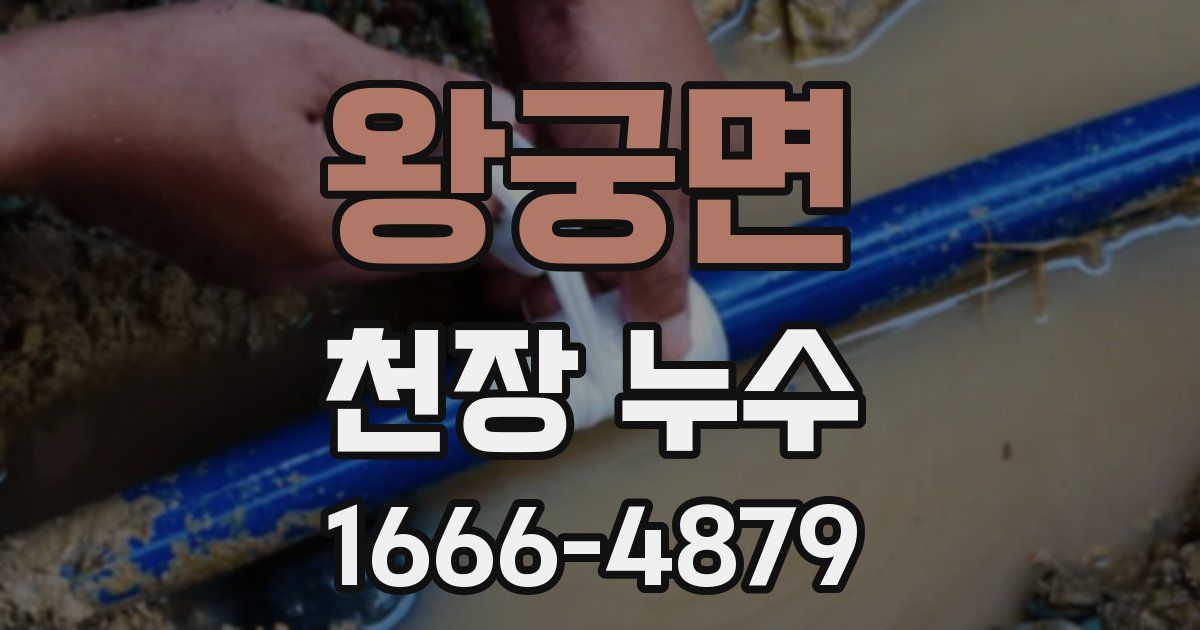 왕궁면 천장 누수