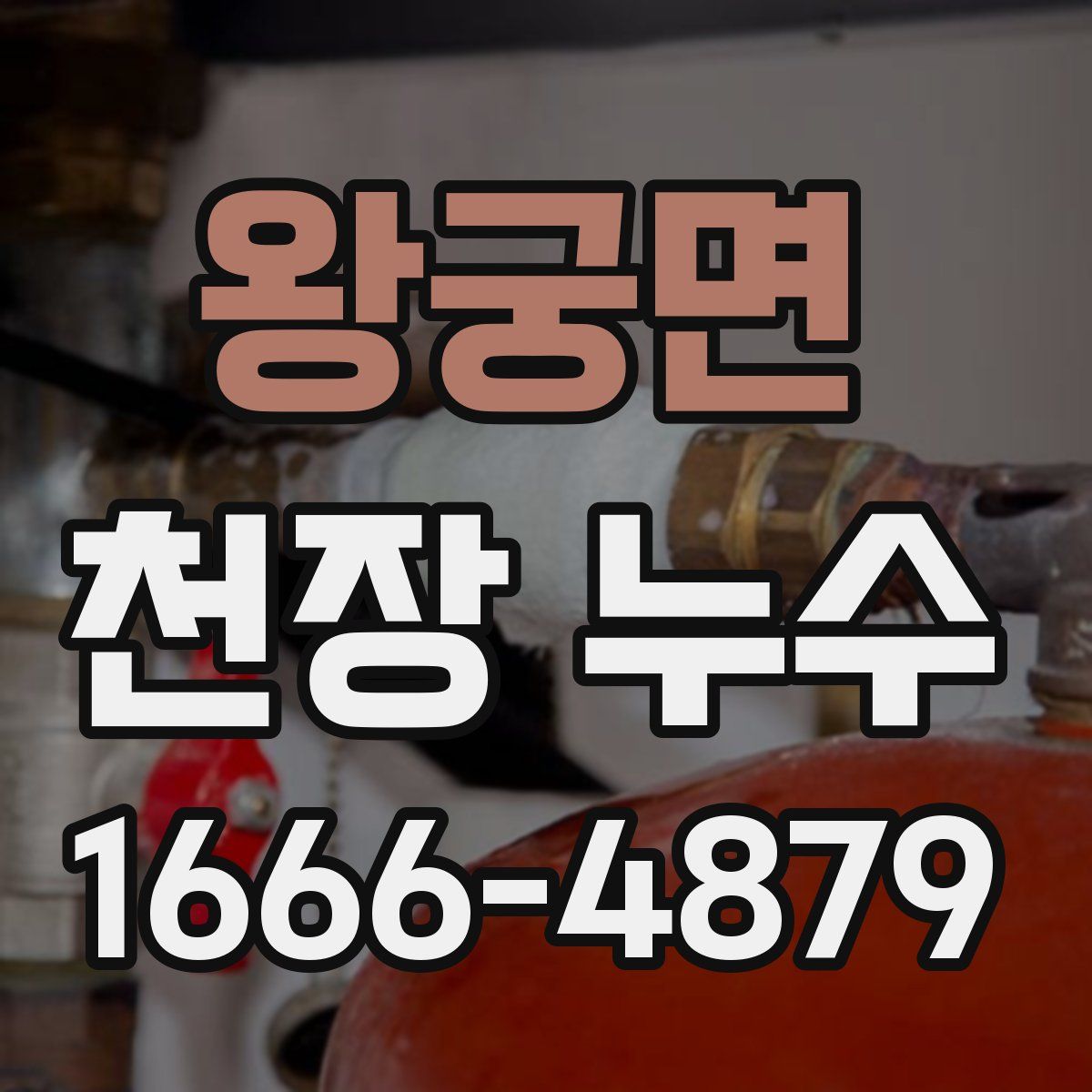 왕궁면 천장 누수