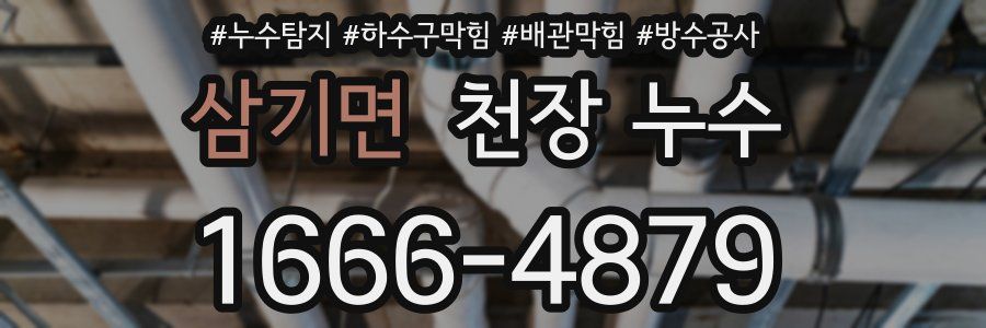 삼기면 천장 누수