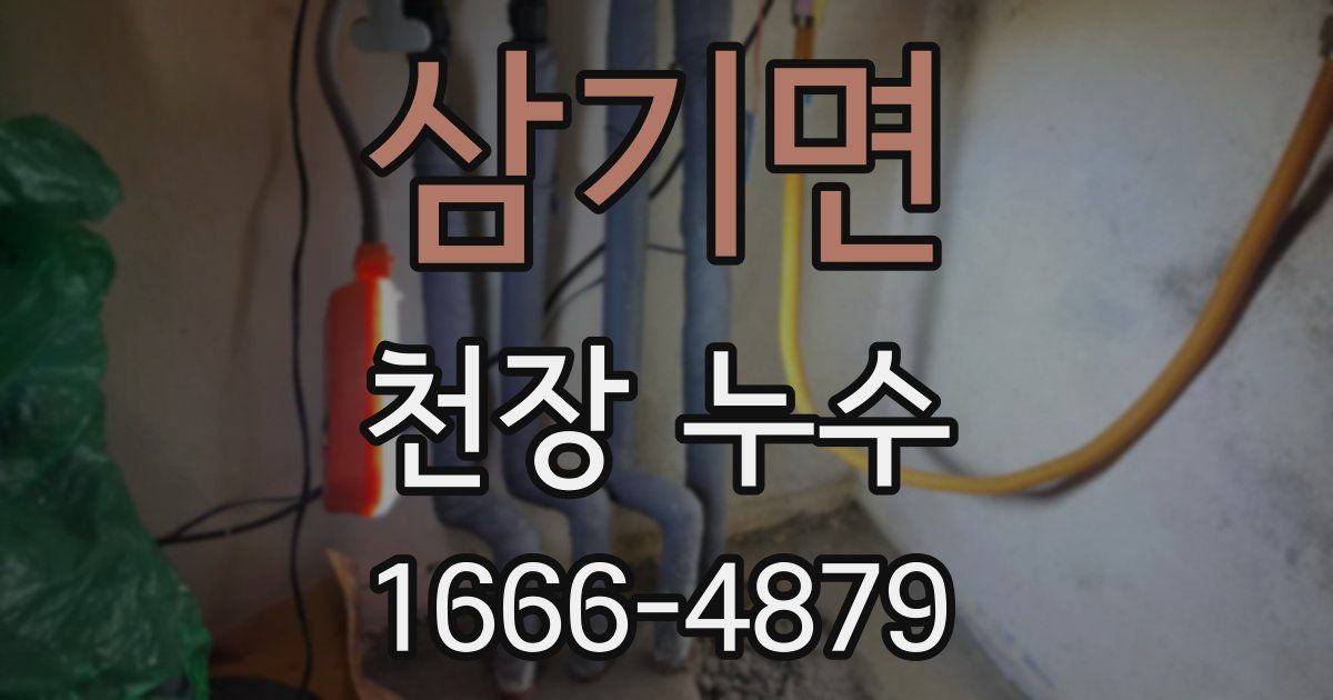 삼기면 천장 누수