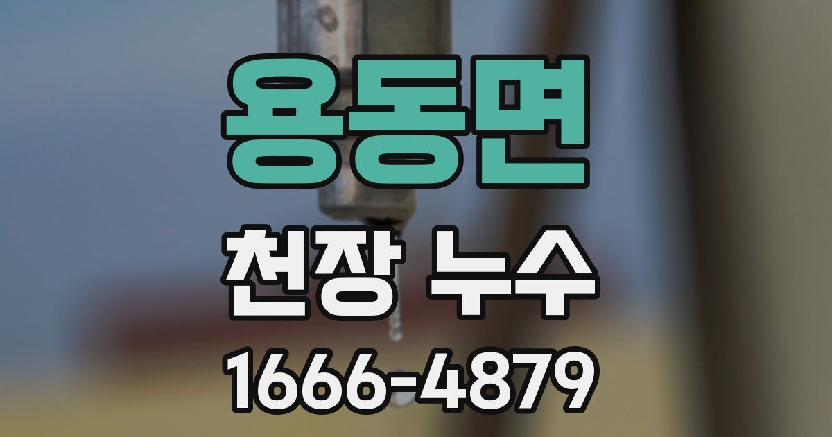 용동면 천장 누수