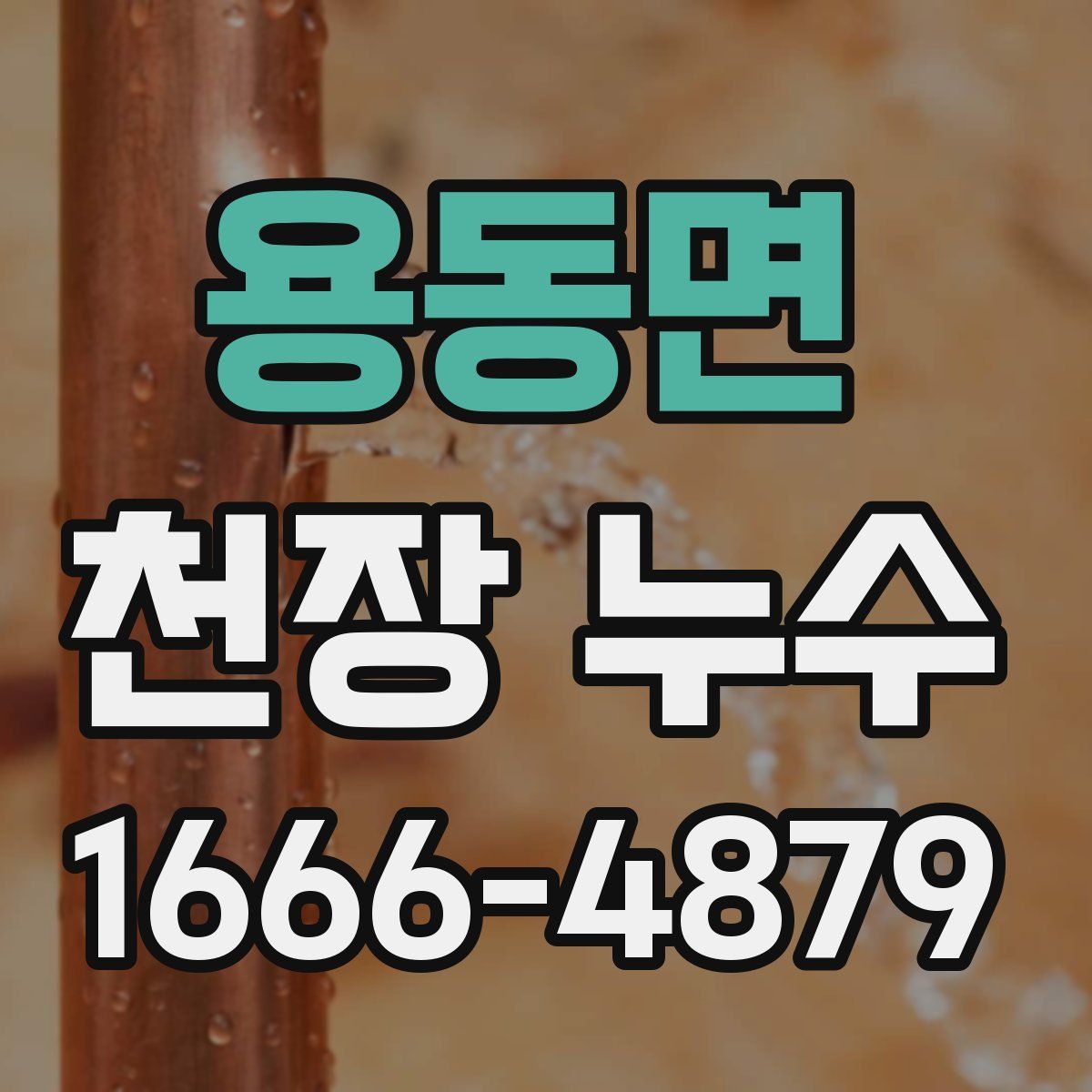 용동면 천장 누수
