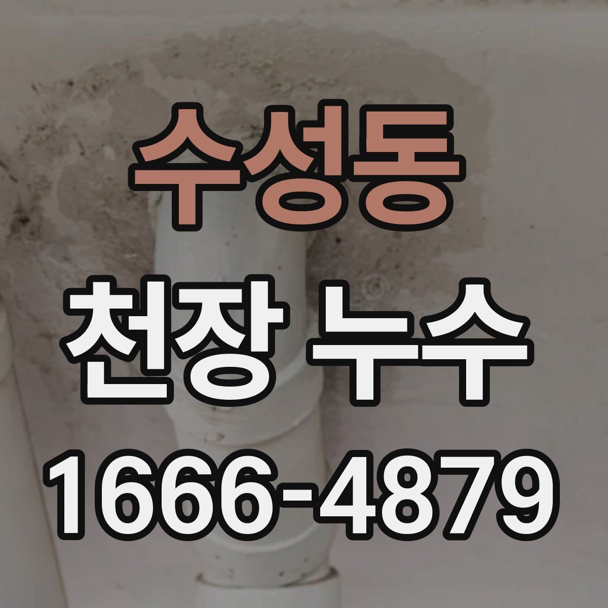 수성동 천장 누수