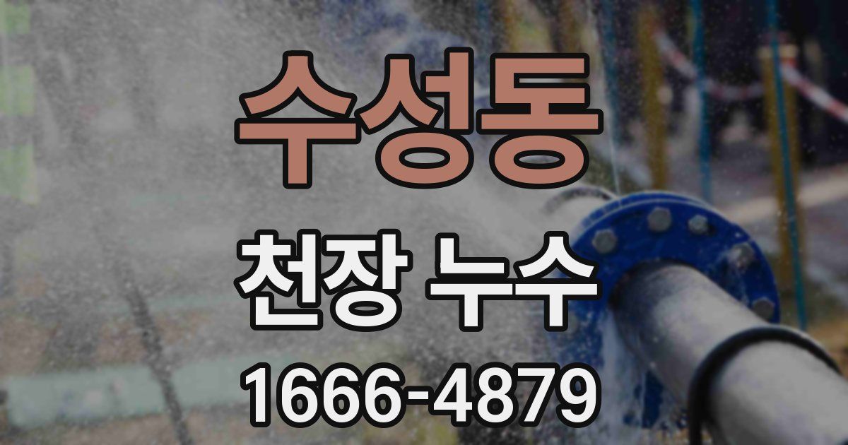 수성동 천장 누수