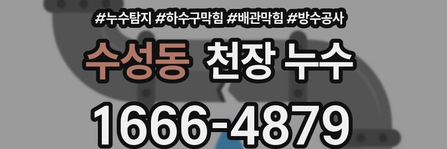 수성동 천장 누수