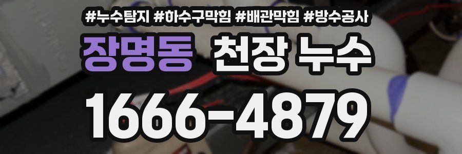 장명동 천장 누수