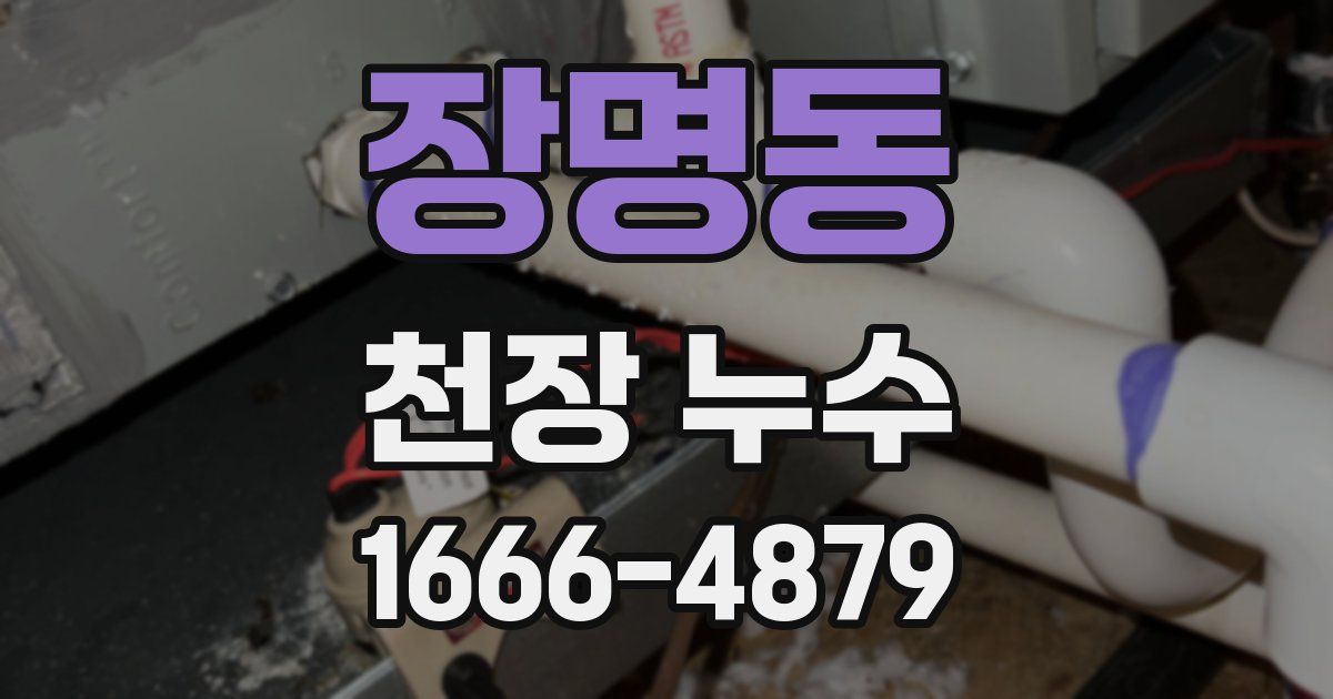 장명동 천장 누수