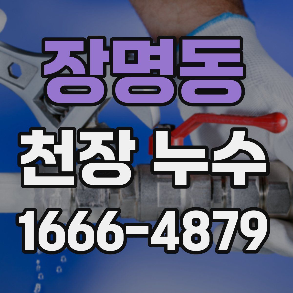 장명동 천장 누수