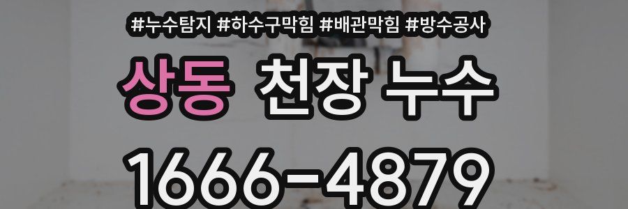 상동 천장 누수