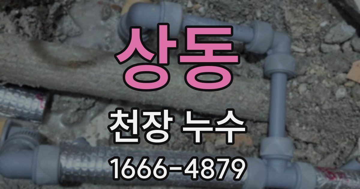 상동 천장 누수