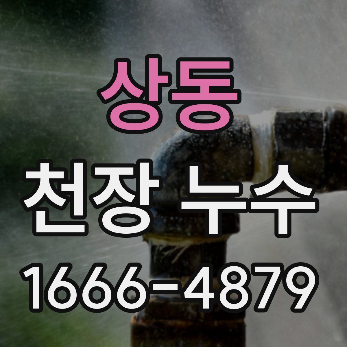 상동 천장 누수