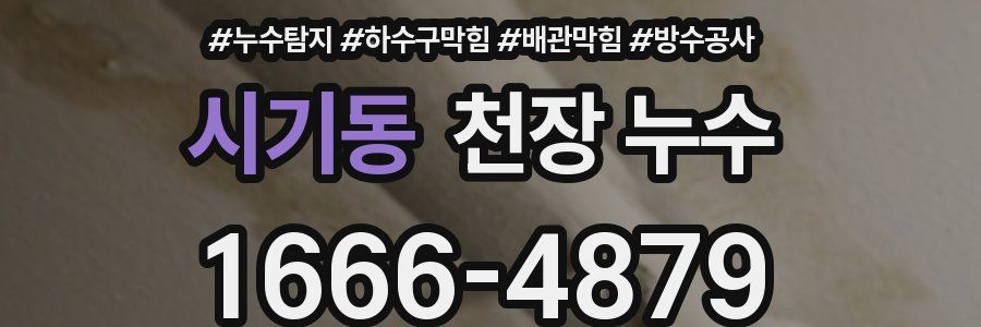 시기동 천장 누수