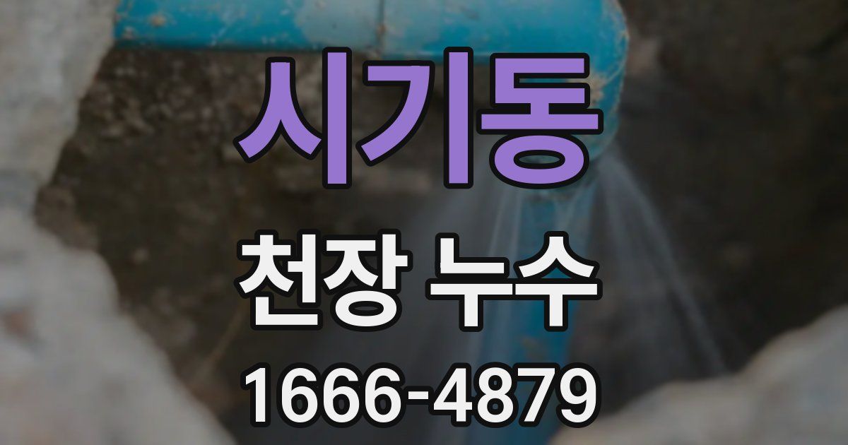 시기동 천장 누수