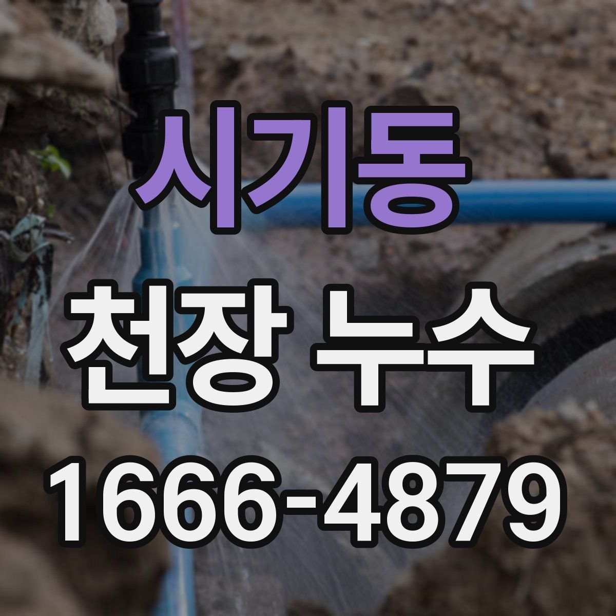 시기동 천장 누수