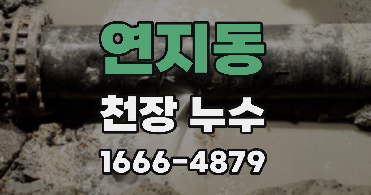 연지동 천장 누수