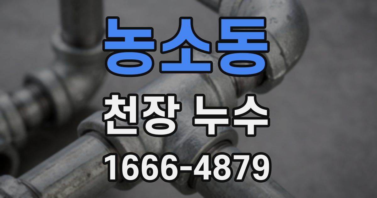 농소동 천장 누수