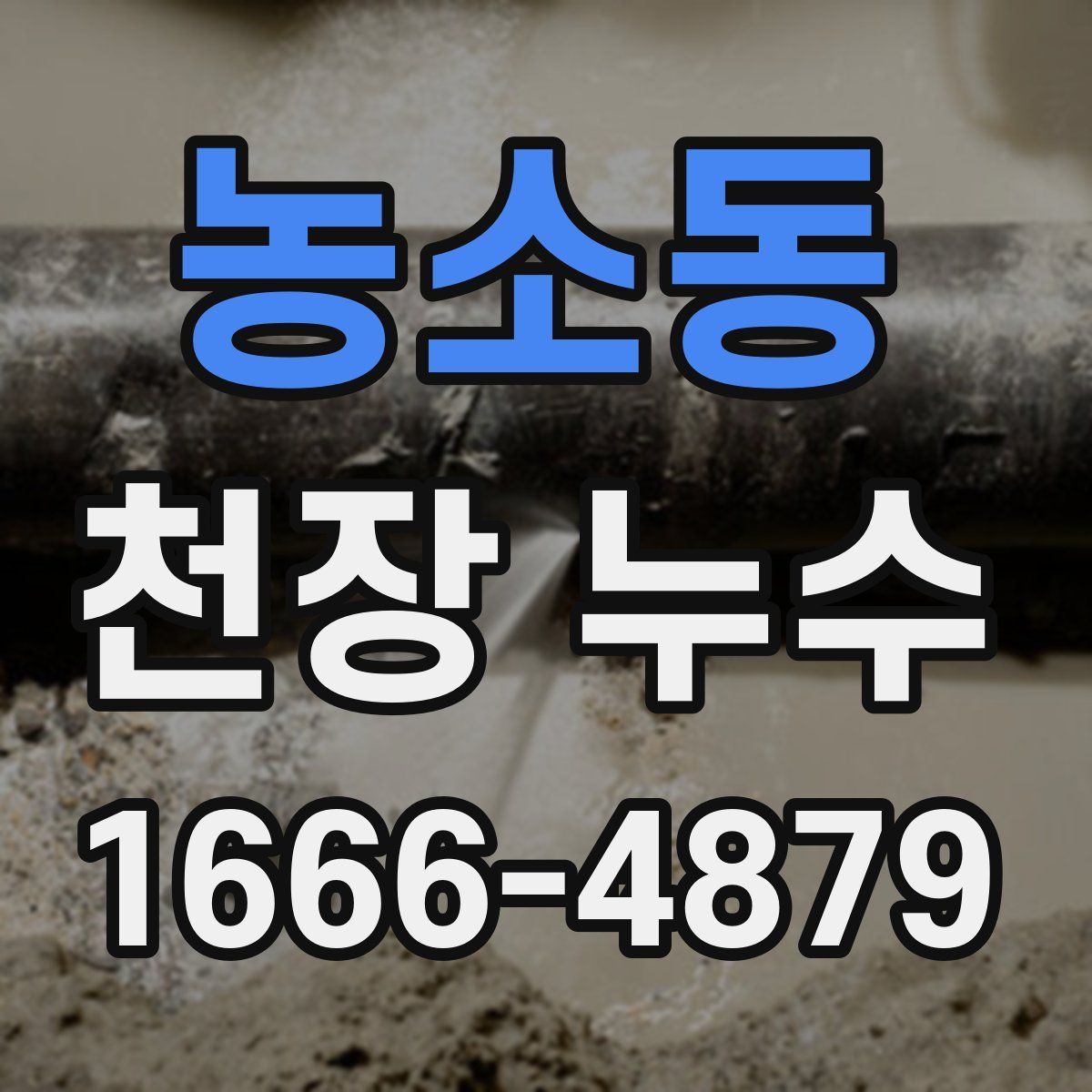 농소동 천장 누수