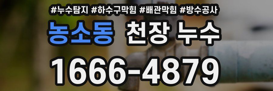 농소동 천장 누수
