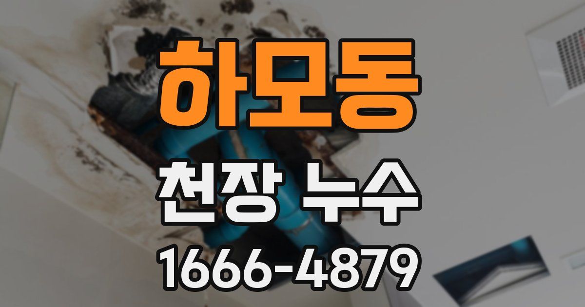 하모동 천장 누수