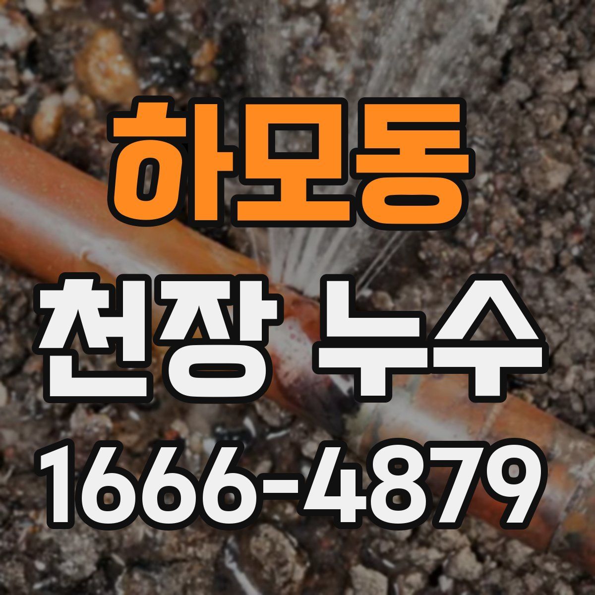 하모동 천장 누수