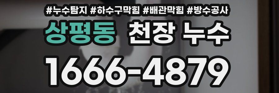 상평동 천장 누수