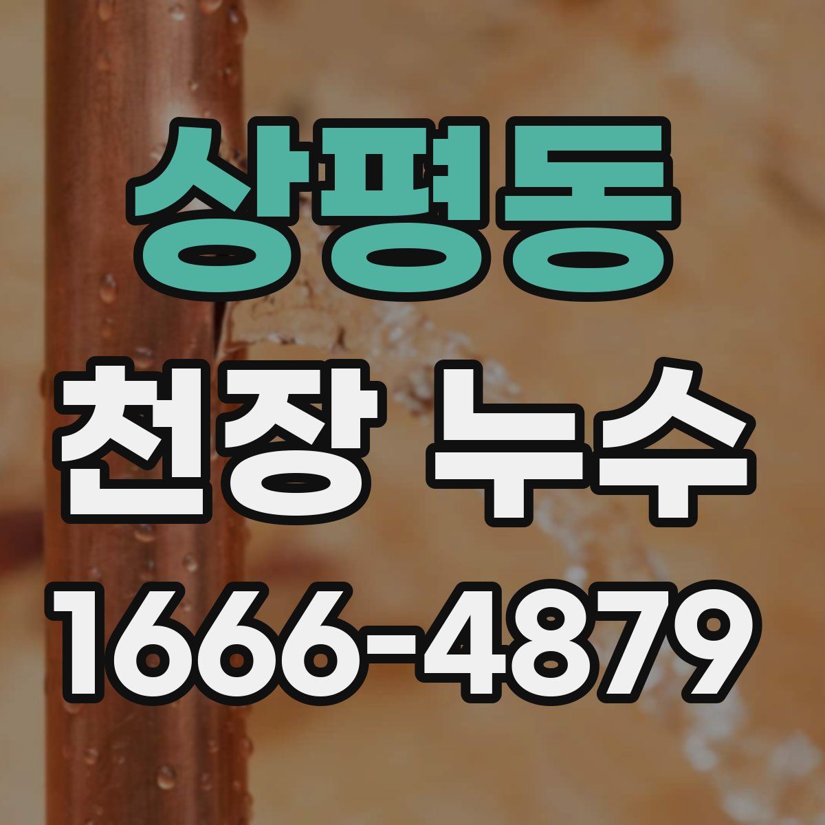 상평동 천장 누수