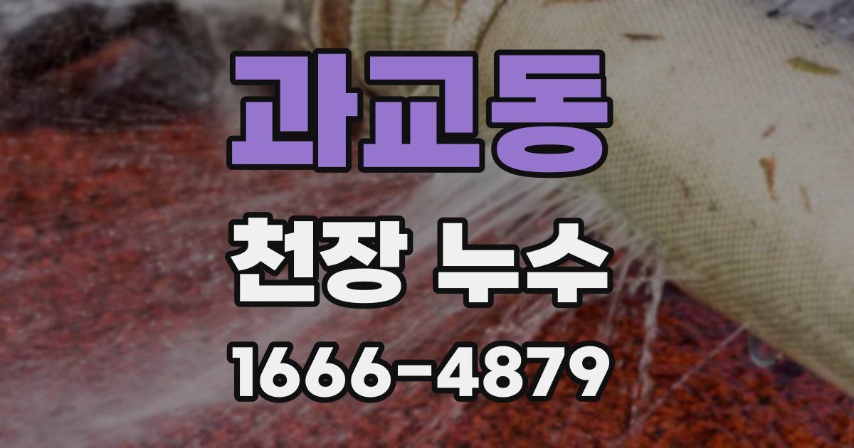 과교동 천장 누수