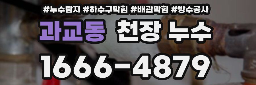 과교동 천장 누수