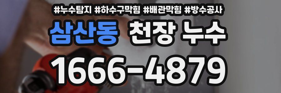 삼산동 천장 누수