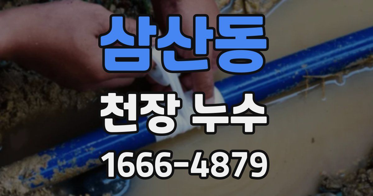삼산동 천장 누수