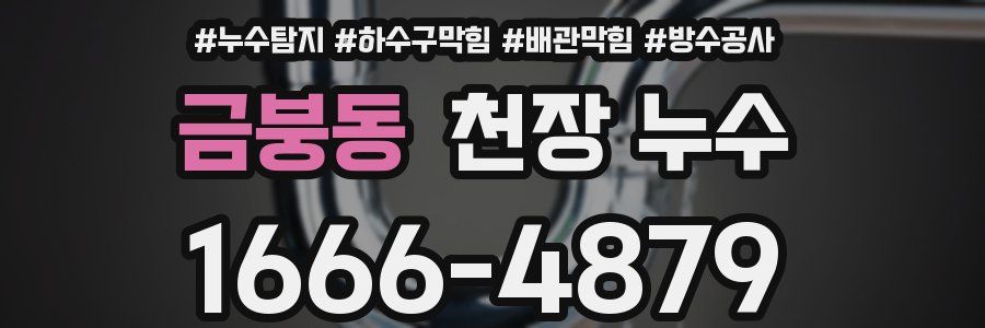 금붕동 천장 누수