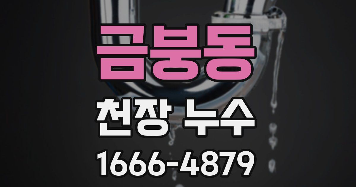 금붕동 천장 누수