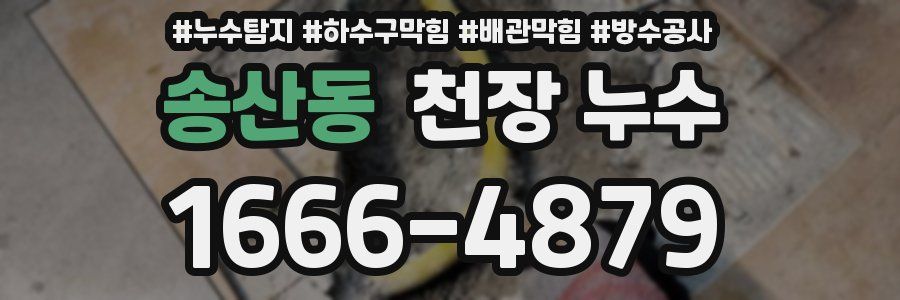 송산동 천장 누수